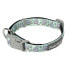 ფოტო #2 პროდუქტის FUZZYARD Dreamtime Koalas Collar Neoprene