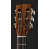 Lakewood M-Brazilian Rosewood II Custom