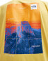 The North Face Foundation backprint heat graphic t-shirt in mustard