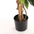 Kunstpflanze Ficus