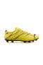 Attacanto Fg/Ag Erkek Futbol Ayakkabısı Çim Zemin Kramponu