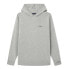 Фото #2 товара PEPE JEANS Tottenham hoodie