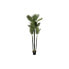 Фото #1 товара Декоративное растение DKD Home Decor полипропилен Пальмовое 100 x 100 x 230 cm
