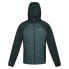 Фото #3 товара REGATTA Andreson VII Hybrid jacket