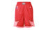 Jordan NBA All-Star Edition Shorts CJ1068-657