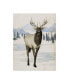 Фото #1 товара Grace Popp Alaskan Wilderness II Canvas Art - 15" x 20"