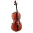 Фото #3 товара Walter Mahr Cello Stradivari Spruce 4/4