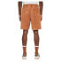 Фото #2 товара DICKIES Chase City shorts