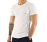 Emporio Armani EA7 LogoT Shirt