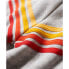 SUPERDRY Rainbow Stripe Logo hoodie