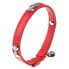 ფოტო #2 პროდუქტის FERPLAST Joy 12 mm 35 cm Cat Collar