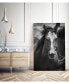 Фото #2 товара 14" x 11" Stallion III Museum Mounted Canvas Print