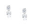 Charming silver earrings with zircons Tesori SAIW212