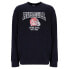 Фото #2 товара RUSSELL ATHLETIC AMS A30411 sweatshirt