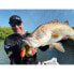 Фото #47 товара RAPALA BX Skitter Frog BXSF04 Floating Topwater Stickbait 45 mm 7.5g