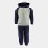 Фото #2 товара JOMA Lion tracksuit