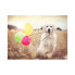 Фото #2 товара Пазл для детей Равенсбургер Щенок с воздушными шариками 500 элементов