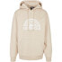 SOUTHPOLE Spray Logo hoodie