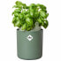 Горшок для цветов Elho Bouncy Basil Circular Green Plastic 16 cm