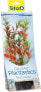 Tetra DecoArt Plant M Red Ludwigia
