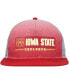 ფოტო #2 პროდუქტის Men's Cardinal, Gray Iowa State Cyclones Snapback Hat