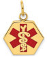 ფოტო #1 პროდუქტის Medical Info Hexagon Charm Pendant in 14k Gold