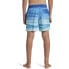 Фото #2 товара QUIKSILVER Fade Vly 14´´ Swimming Shorts