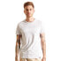 SUPERDRY Core Logo short sleeve T-shirt