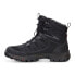 Ecco Expedition Iii High Gtx