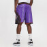 Фото #4 товара Шорты баскетбольные Mitchell&Ness модель SHORBW18055-TRAPURP, NBA ретро дизайн, Торонто Рэпторс, унисекс, фиолетовые