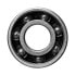 CERAMICSPEED R6 Hub Bearing