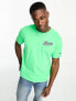 Champion Rochester retro resort t-shirt in washed green