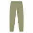 Adult's Tracksuit Bottoms Champion Rib Cuff Green Men