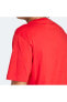 Erkek Günlük Logo Tişört Trefoıl T-shırt Ir8009