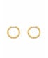 Фото #1 товара Fatu Hammered Hoop Earrings