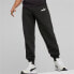 Фото #3 товара Puma Ess 2 Col Logo Pants