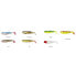 SAVAGE GEAR Cannibal Soft Lure 80 mm 5g 72 Units