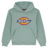 Фото #1 товара DICKIES Logo hoodie