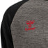 HUMMEL Denmark Pro 2020 Sweatshirt