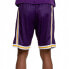 Mitchell & Ness Big Face 96-97 Shorts