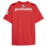 Puma Psv V Neck Short Sleeve Home Soccer Jersey Replica Mens Red 77057801