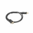 DisplayPort Cable Lanberg CA-DPDP-10CC-0010-BK