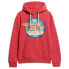 SUPERDRY Gasoline Workwear Graphic hoodie