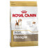 ROYAL CANIN Beagle Corn Poultry 12kg Dog Food Разноцветный, 12kg - фото #2