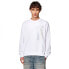 Фото #1 товара DIESEL Ginn K39 sweatshirt