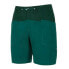 WILDCOUNTRY Stamina Shorts