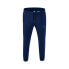 Фото #1 товара ERIMA Essential Team Pants