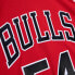 Mens Mitchell & Ness NBA SWINGMAN JERSEY - CHICAGO BULLS HORACE GRANT 1990-91