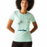 ფოტო #1 პროდუქტის REGATTA Fingal Slogan short sleeve T-shirt