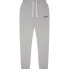 Фото #3 товара ELLESSE Granite joggers